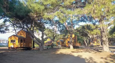 Talat Göktepe (Erdemli Çamlığı) Tabiat Parkı