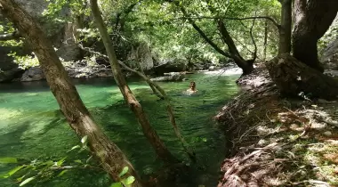 Kuzgun Kamp