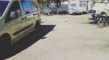 Aksaray Sultanhanı Camping Pansion