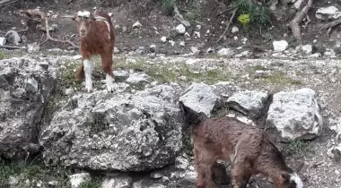 İdebessos Antik Kenti