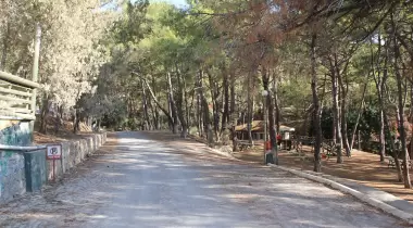 Pullu Tabiat Parkı