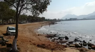 Yeşilovacık Çamlık Kamp Alanı