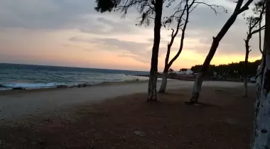 Yeşilovacık Çamlık Kamp Alanı