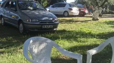 Turan Piknik Alanı Camping