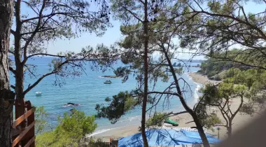 Pullu Tabiat Parkı