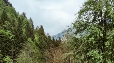 Moçkar Tiny House