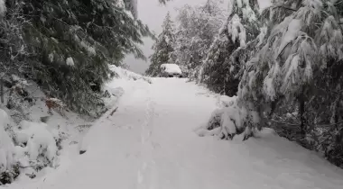 Burdur Kargı Köyü Sığla Ormanı Tabiatı Koruma Alanı