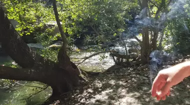 Kuzgun Kamp