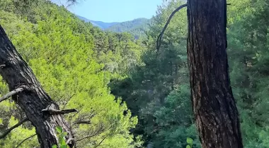 Hızır Kamp