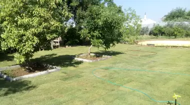 Ahır Kamp