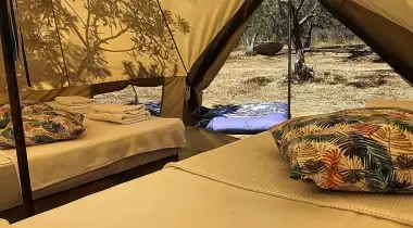 Mavi Kuş Assos ️