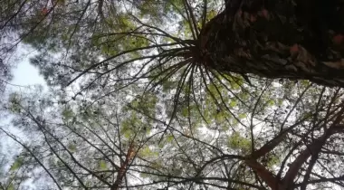 Hızır Kamp