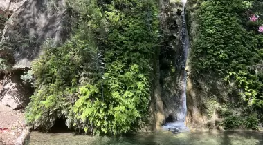 Kaplumbağa Camp