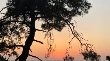 Famous camping