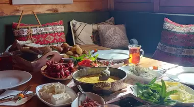 Son Mohikan Dağ Evi