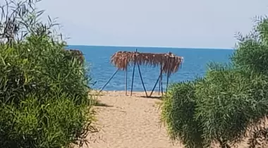 Paşa Camping