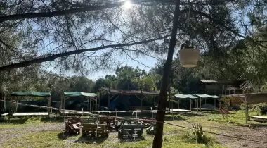 Famous camping