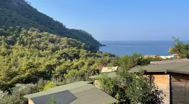 Kaplumbağa Camp
