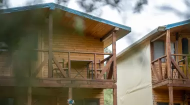 Deniz Atı Glamping Restaurant Beach