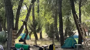 Kamp Asgard