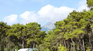 Bobi Kamping