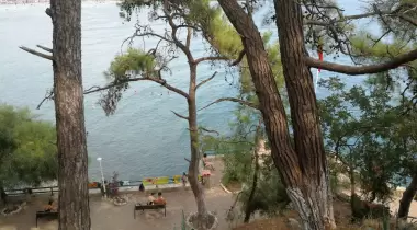 Gökova Orman Kampı