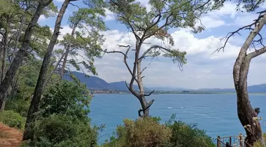 Gökova Orman Kampı