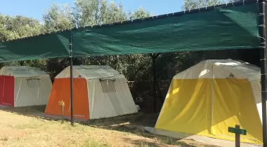 Sincap Kamp