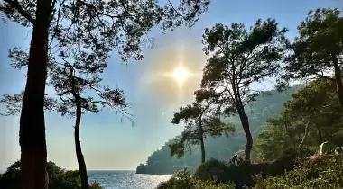 Gökova Orman Kampı