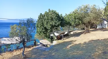 Öz Kamping