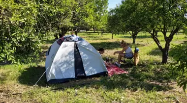 Çekirdeksiz Mandalin Camping
