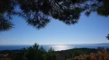 Öz Kamping
