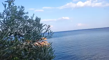 XOX MAHİRİM KAMP