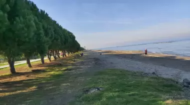 Altınkum Camping Kanarya