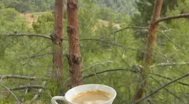 Olympos Camping