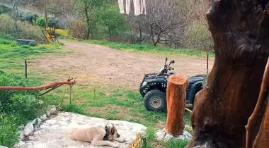 Moodfesto Taş Konak