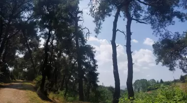 Hacet Deresi Tabiat Parkı
