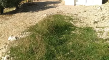 Abalı camping