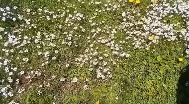 Ekrem Camping Kamp ve Piknik Alanı