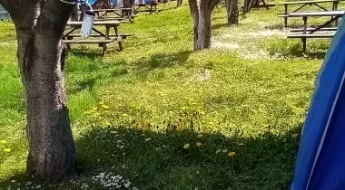 Ekrem Camping Kamp ve Piknik Alanı