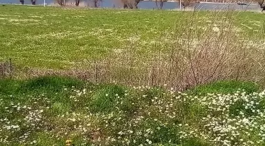 Ekrem Camping Kamp ve Piknik Alanı