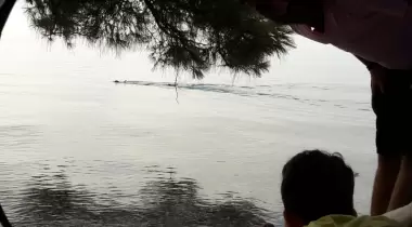Abalı camping