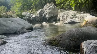 Migoi Camping