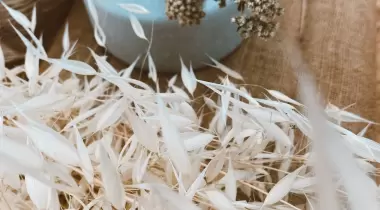 Fıstık Doğa Evi