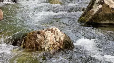 Migoi Camping