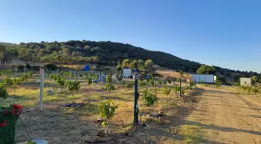 Hide Away Camping & Parking