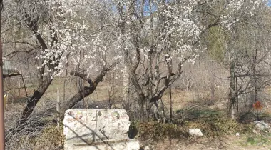 Antalya - Burdur Yolu, 15050, Burdur, Burdur, Türkiye