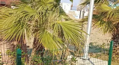 İskenderun-Arsuz Yolu, 31225, Gülcihan, Akçali, Hatay, Türkiye
