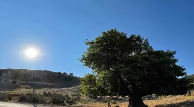 Aşağı Çeşme Sokak, 35960, Karaburun, İzmir, Türkiye