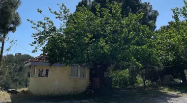 Mersin Karayolu, 07900, Yakacık, Gazipasa, Antalya, Türkiye